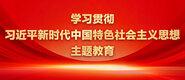 爱操逼网站学习贯彻习近平新时代中国特色社会主义思想主题教育_fororder_ad-371X160(2)